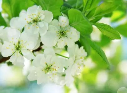 ̎ڵİL\